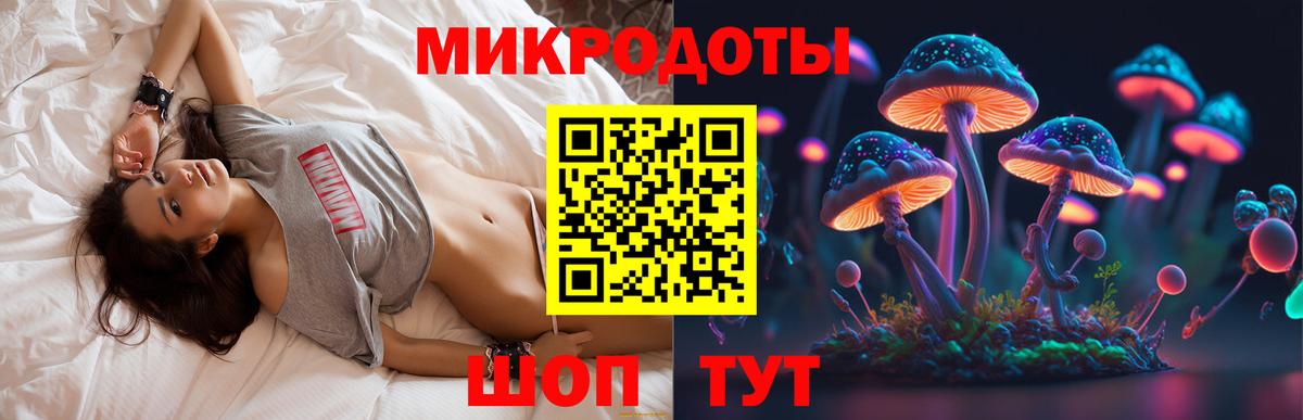 Псилоцибиновые грибы мицелий  где купить наркотик  Вход с VPN  Норильск  Галлюциногенные грибы Magic Shrooms 